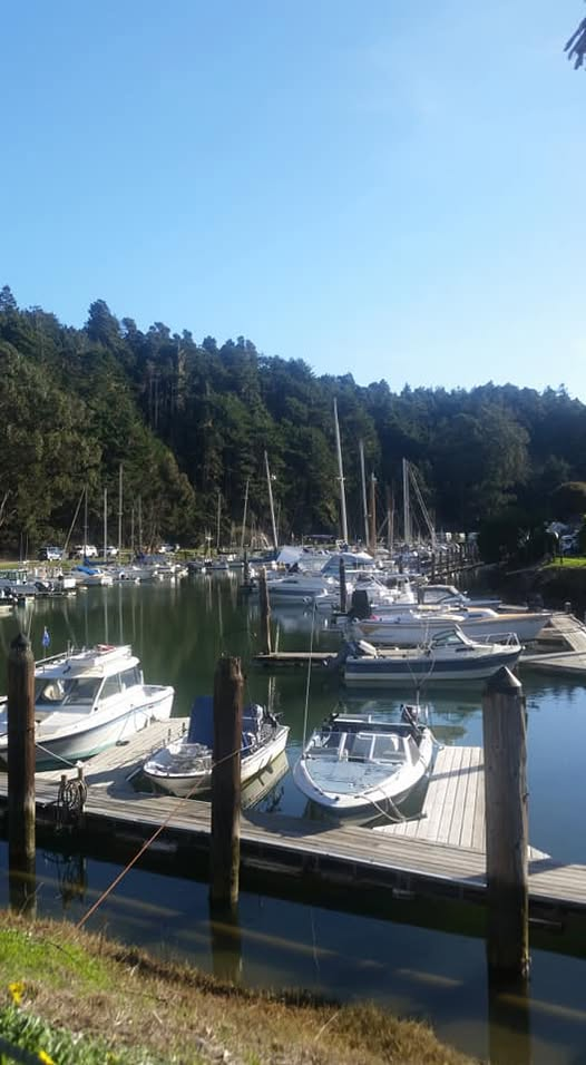 Dolphin Isle Marina — boats moored along the upriver docks