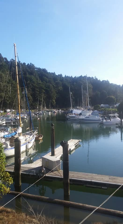 Dolphin Isle Marina — sailboats and dock pilings on the Noyo River